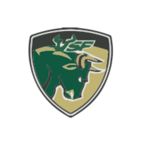 VSF